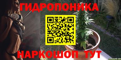 мдпв Гусев